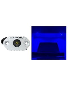 Black Oak Rock Accent Light - Blue LEDs - White Housing