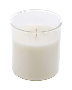 Ginger Tea & Lemon Esque Candle Insert 9 Oz For Unisex