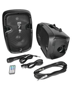 Pyle PPHP849KT 700-Watt Active/Passive Dual Speaker System Kit